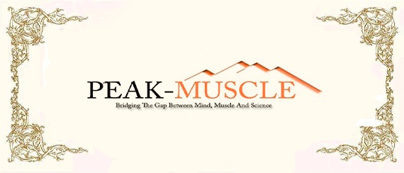 WhatsApp Image 2023 08 19 At 12.43.02 AM 1 1